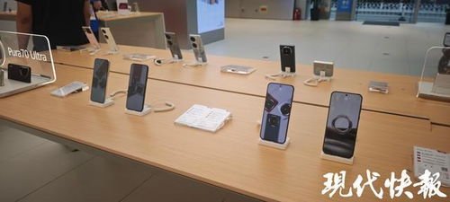 前5月南京經濟穩健增長，‘以舊換新’政策顯效，汽車與家電零售額大幅攀升